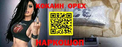 гашик Гатчина