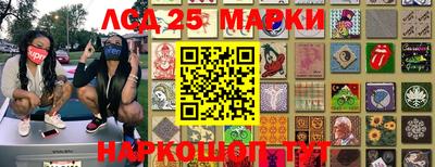гашик Гатчина
