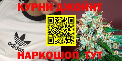 гашик Гатчина