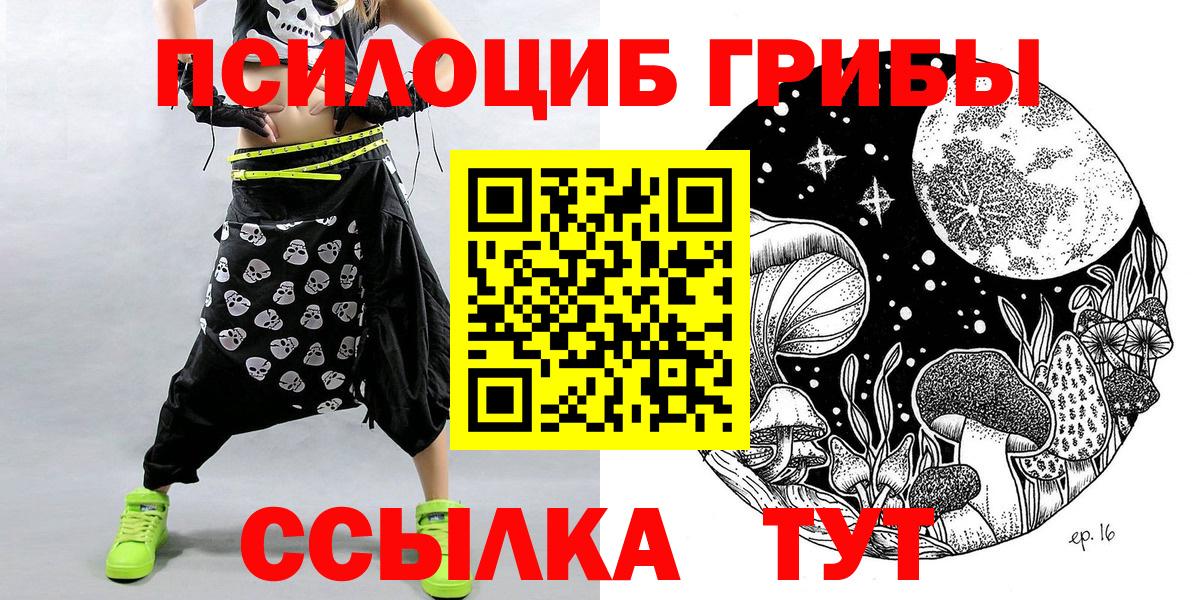 Псилоцибиновые грибы MAGIC MUSHROOMS  Псилоцибиновые грибы GOLDEN TEACHER  Вход с VPN  Гудермес 